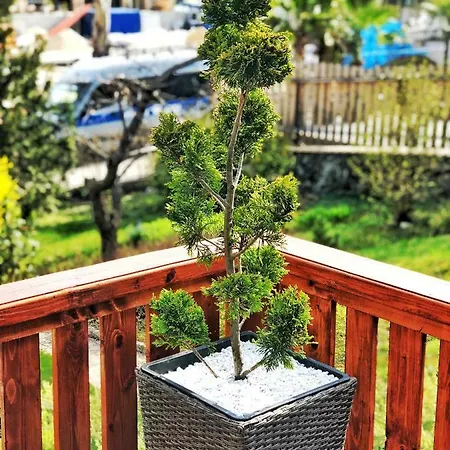 Tagore Apartman Apartamento